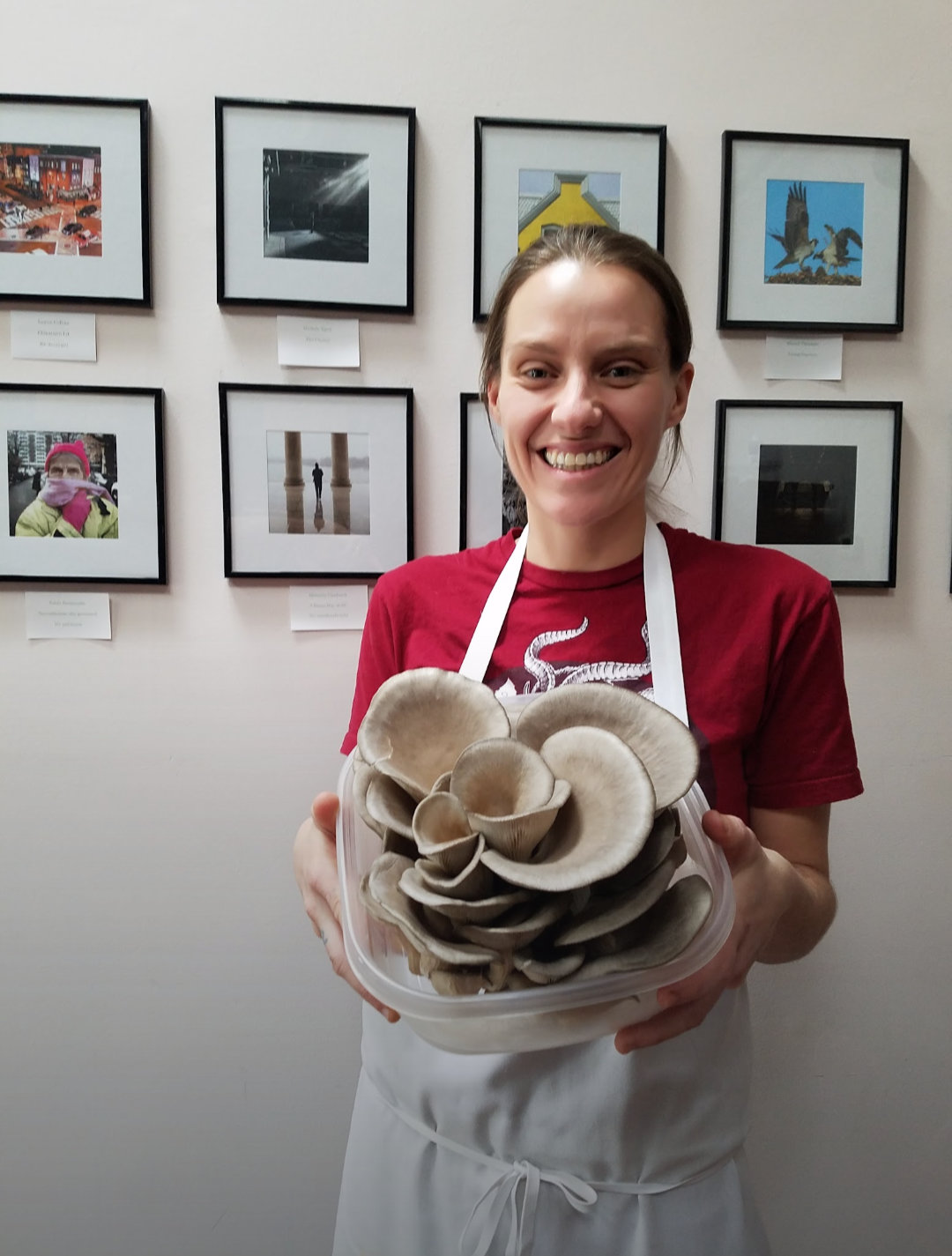 Chef holding a large harvest of oyster mushrooms